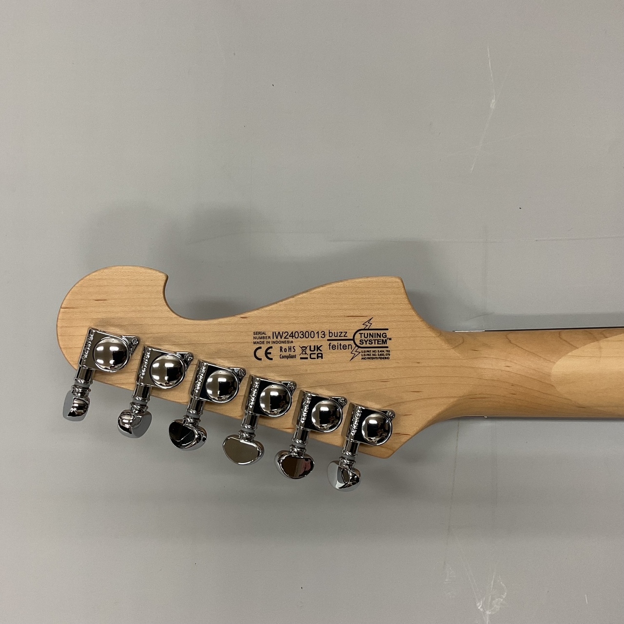Washburn N2-NUNO PADAUK （新品）【楽器検索デジマート】