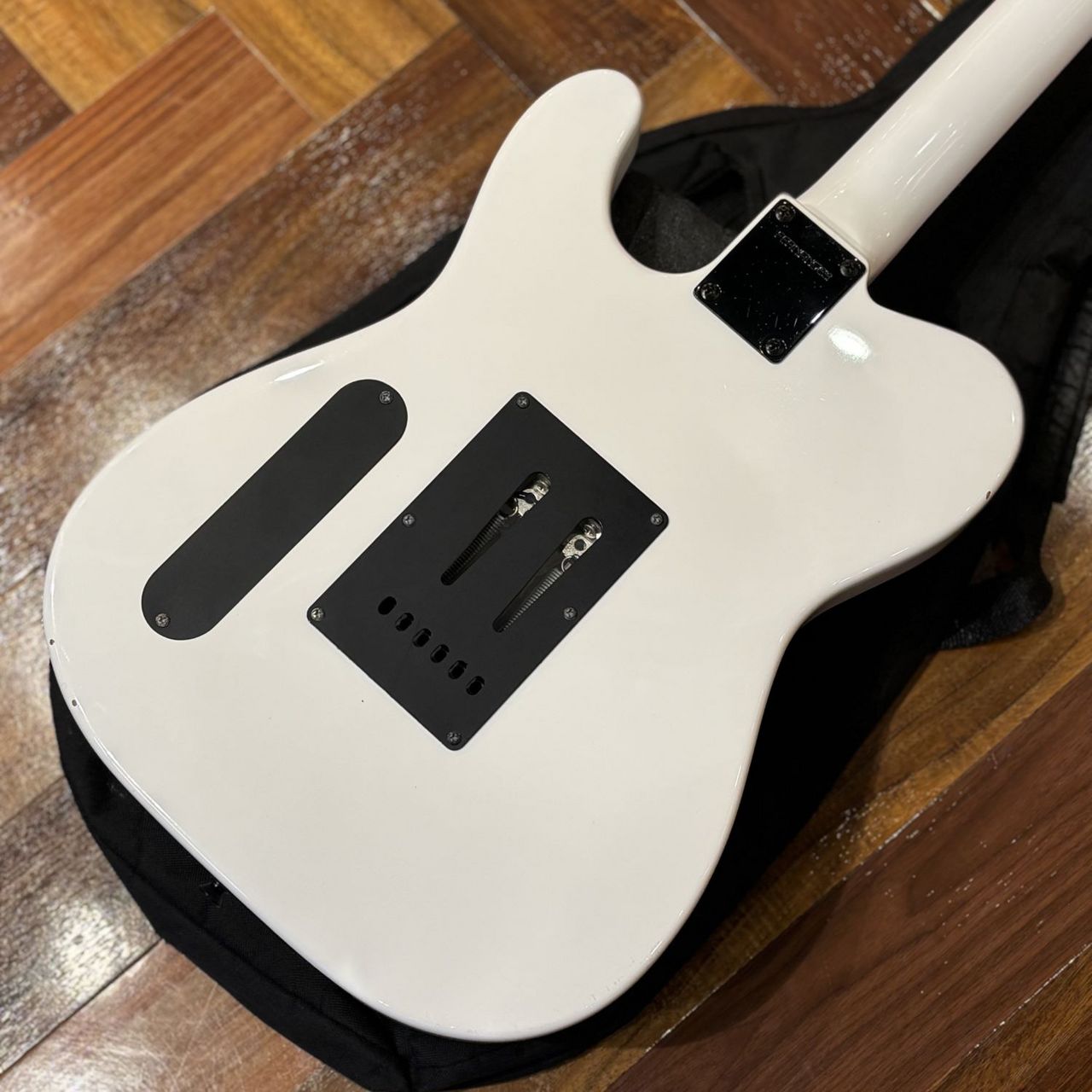 FERNANDES 【漢のギター！現物画像】TEJ-Standard SH SN:FG14100252