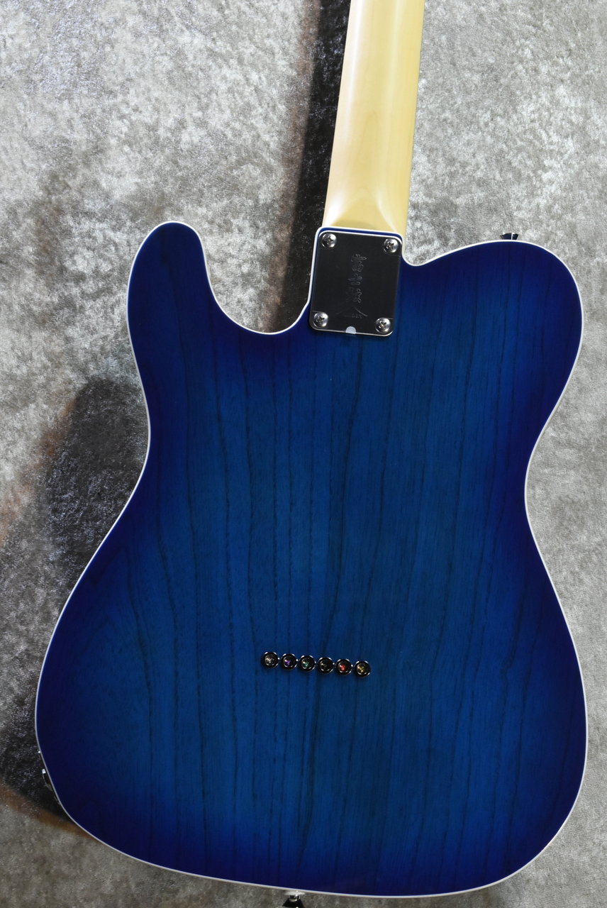 FUJIGEN(FGN) NTE210RAH See-Thru Blue Burst #H250278【3.60kg/濃いめ