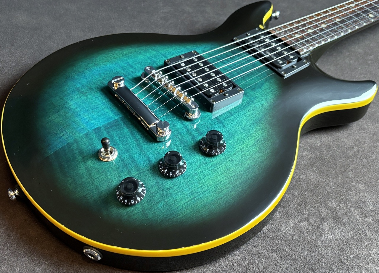 Hamer Slammer Series エレキギター ハードケース付き HAMER(ヘイマー) / SLAMMER SERIES エレキギター/その他