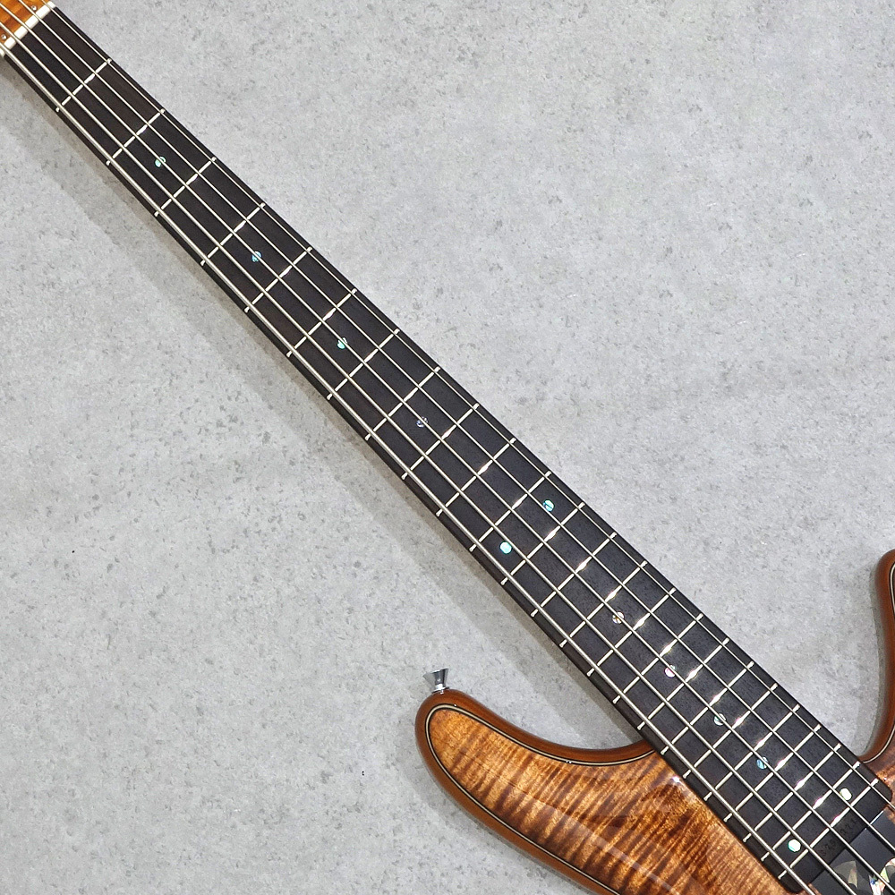 Sugi NB5IR 432 EM-EX/F-MAHO Tiger Eye 【新入荷!】（新品/送料