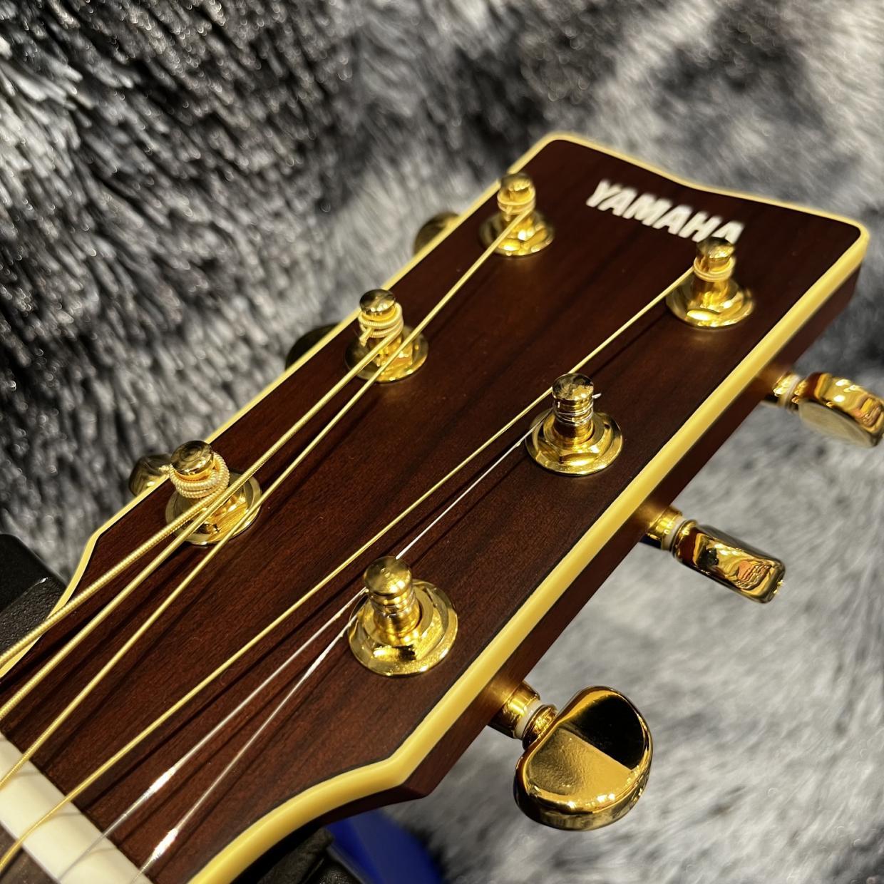 YAMAHA LS6 ARE BS (Brown Sunburst)（新品/送料無料）【楽器検索