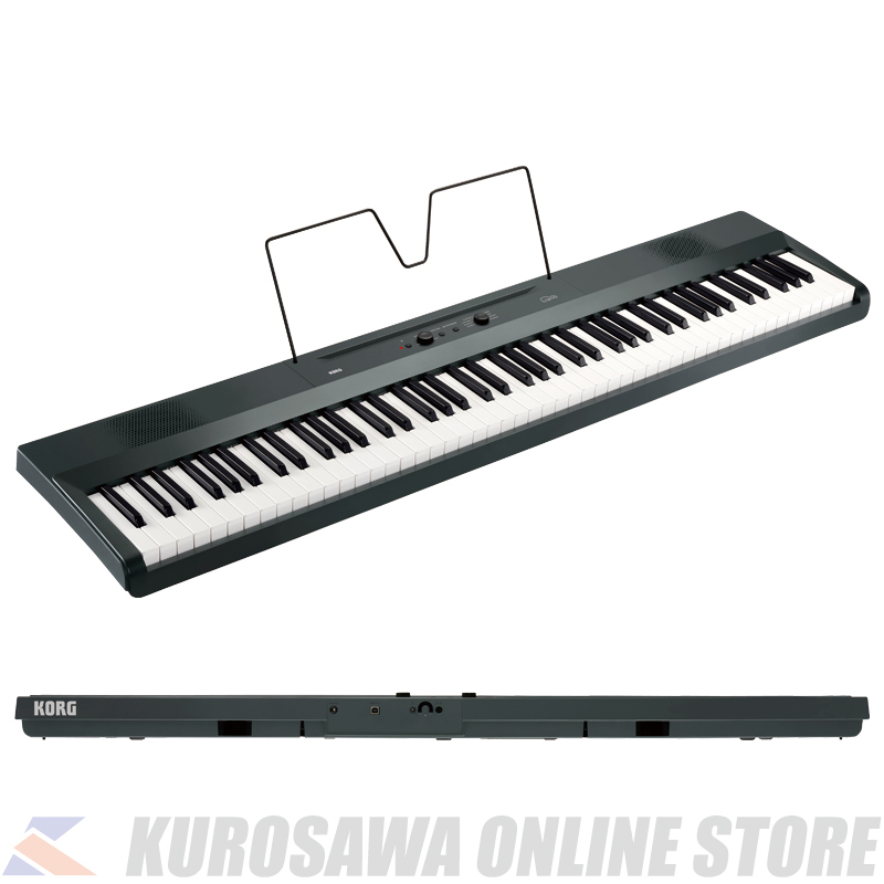 KORG Liano METALLIC GARY [L1SP MGARY] DIGITAL PIANO (ご予約受付中