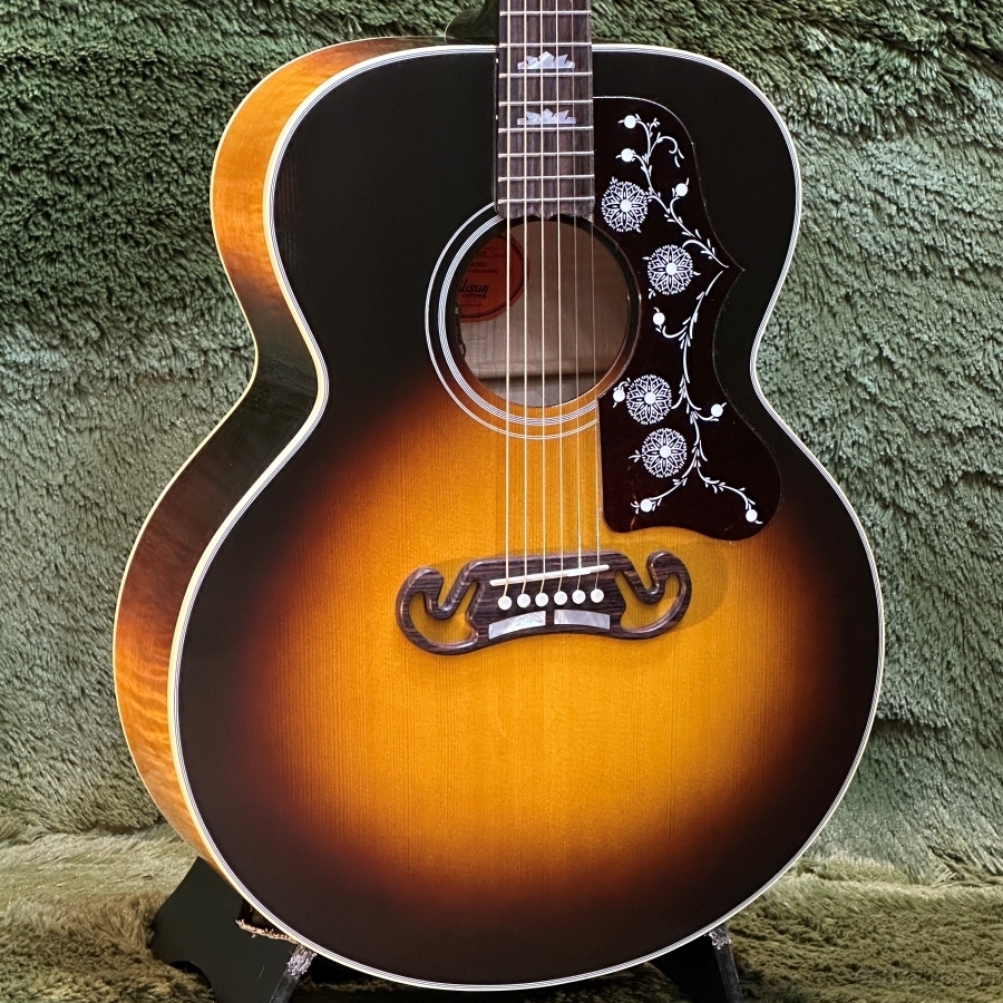 Amazon.com: Taylor T5z Custom Koa Hollowbody Electric Guitar