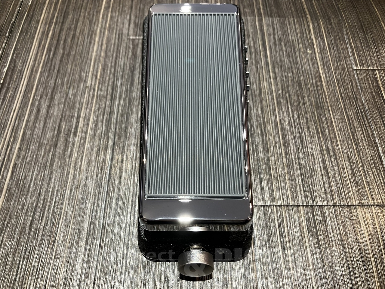 Xotic EP-Pro （新品/送料無料）【楽器検索デジマート】