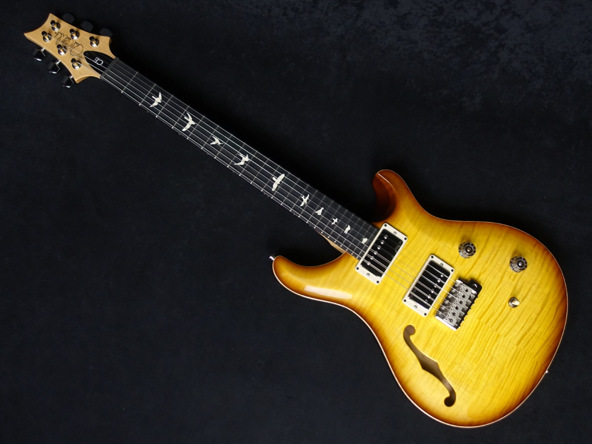 Paul Reed Smith(PRS) CE 24 Semi-Hollow Custom Configuration