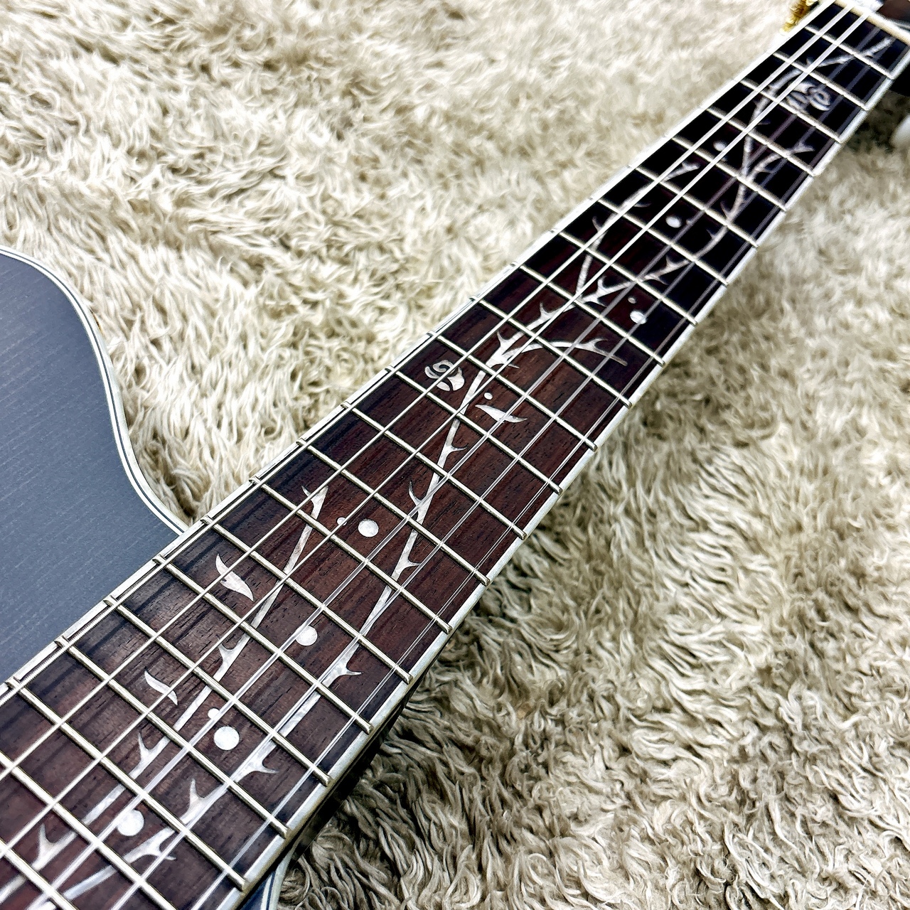 Ibanez TOD10N TKF (Transparent Black Flat) Tim Henson