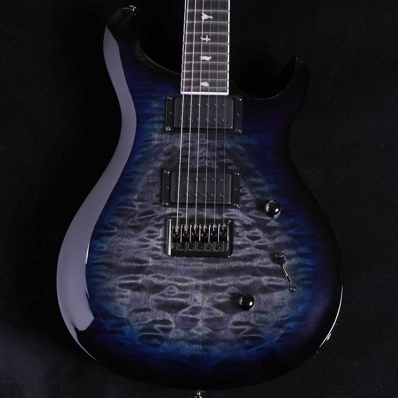 PRS SE Mark Holcomb 6弦仕様 PRS SE Mark Holcomb Signature Electric Guitar - Holcomb Blue Burst