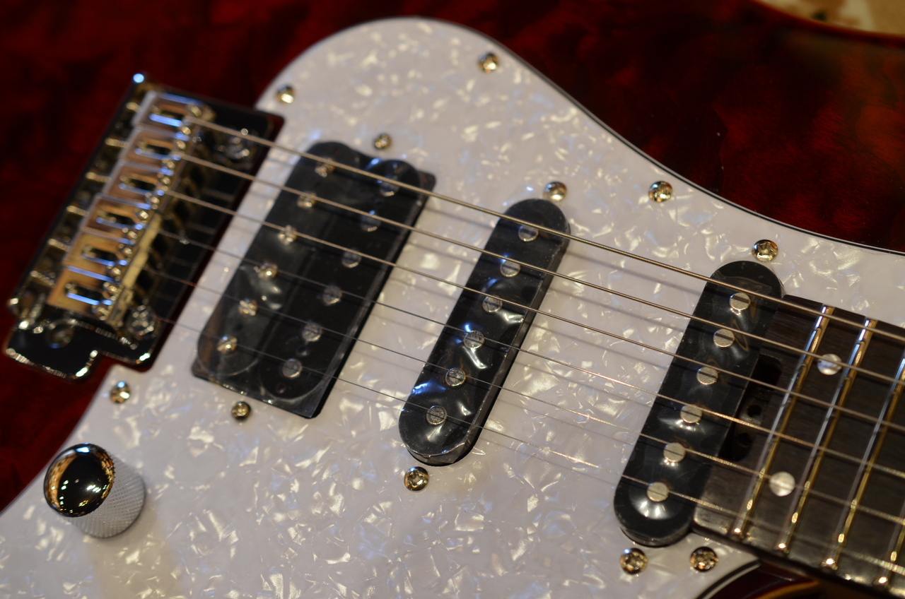 GrassRoots G-SNAPPER-CTM STR（新品）【楽器検索デジマート】