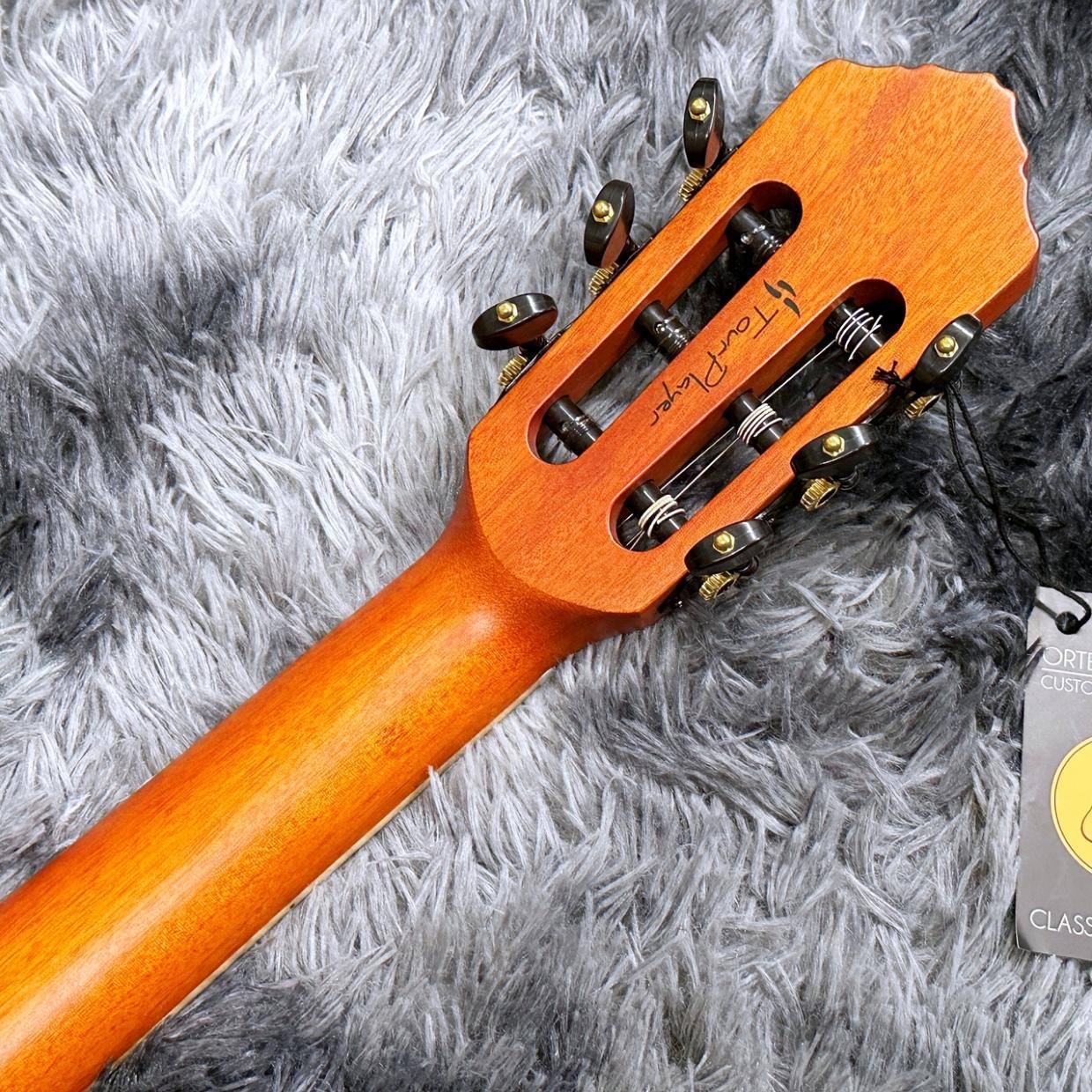 ORTEGA RTPDLX-FMA -Tour Player Series-【特価】 【エレガット