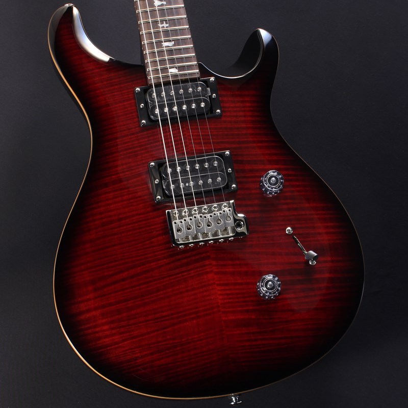 Paul Reed Smith(PRS) SE Custom 24 (Fire Red Burst)（新品