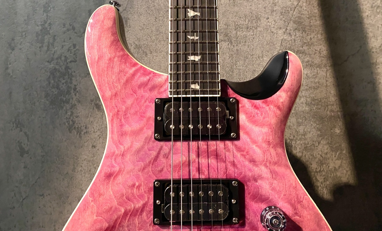 Paul Reed Smith(PRS) 【色明るめ個体】SE Custom 24 Quilt Package