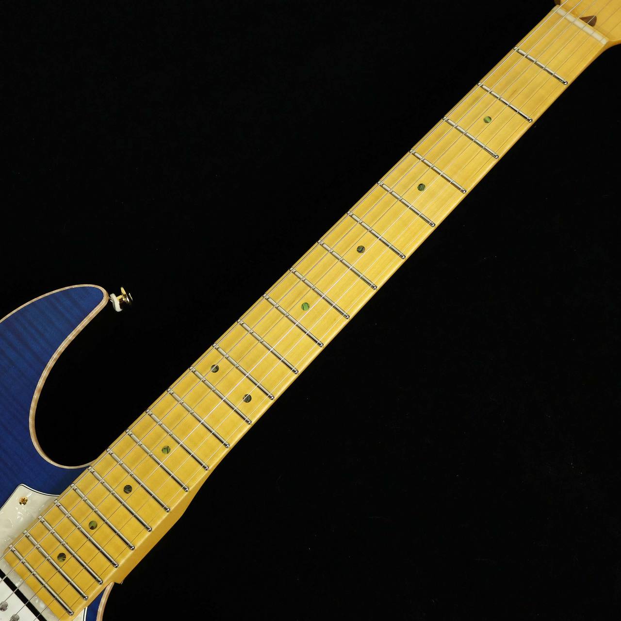 ※ 三日月　FUJIGEN EOS　カスタムオーダーモデル FUJIGEN EOS】遂にフジゲンのオーダーギターが届いたので開封し