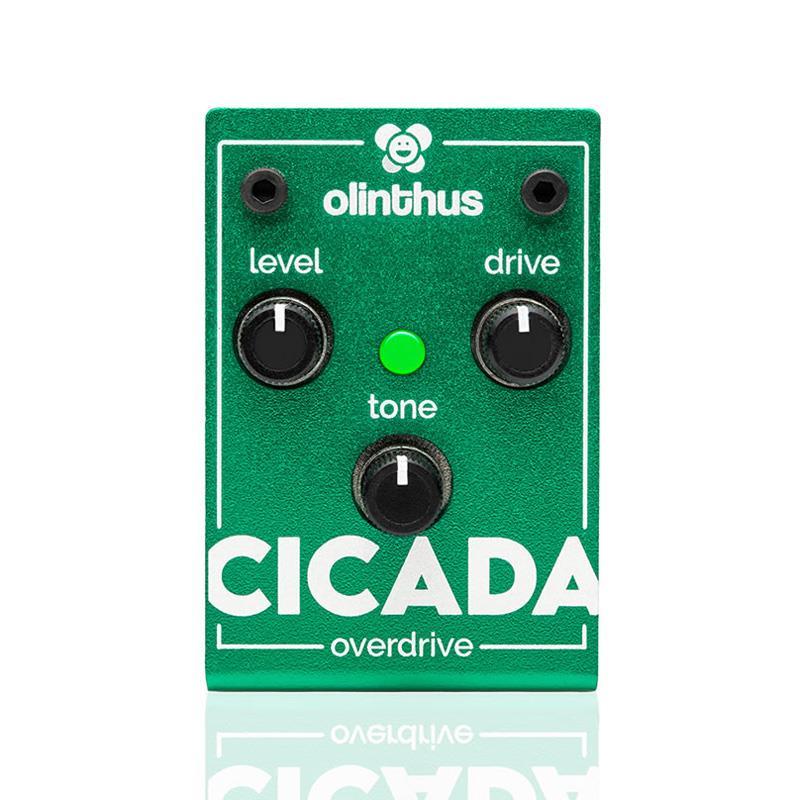 Olinthus CICADA（オーバードライブ）（新品）【楽器検索デジマート】