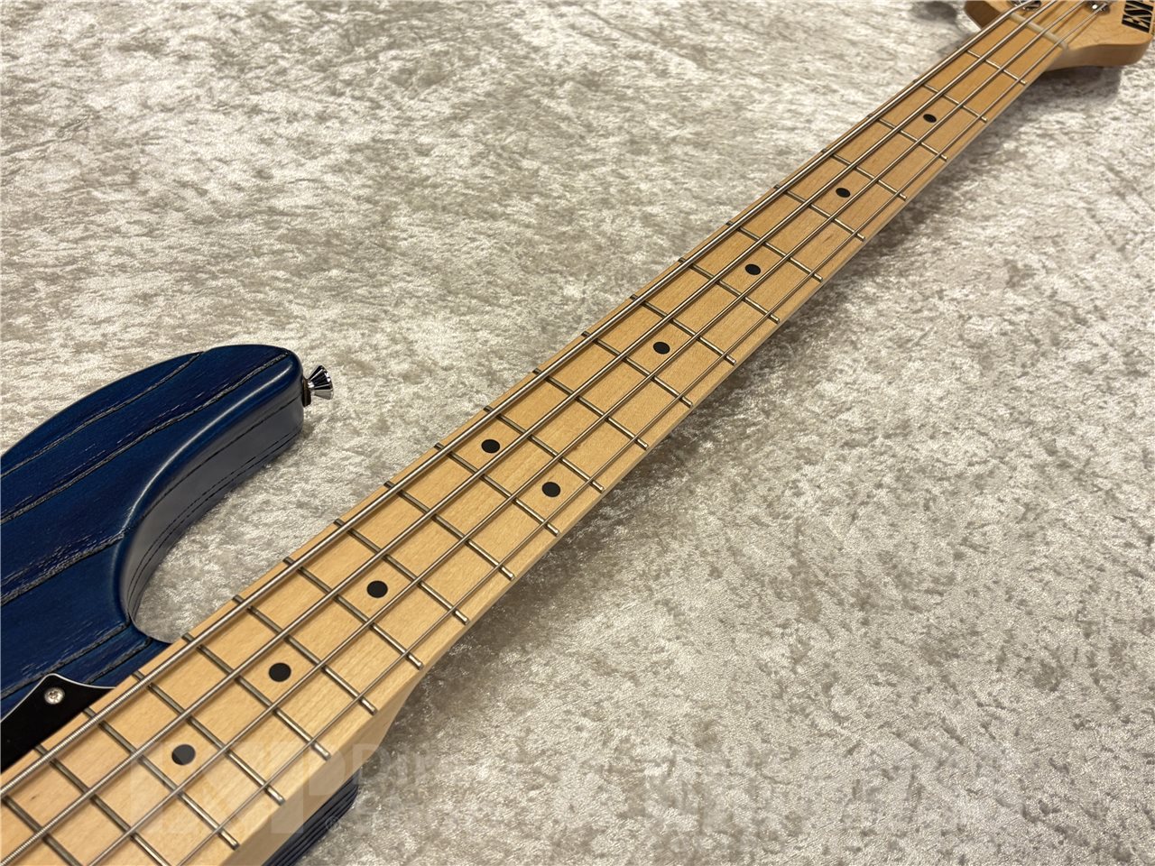 ESP AMAZE-AS/M DRIFTWOOD【Blue w/Black Filler】（新品/送料無料