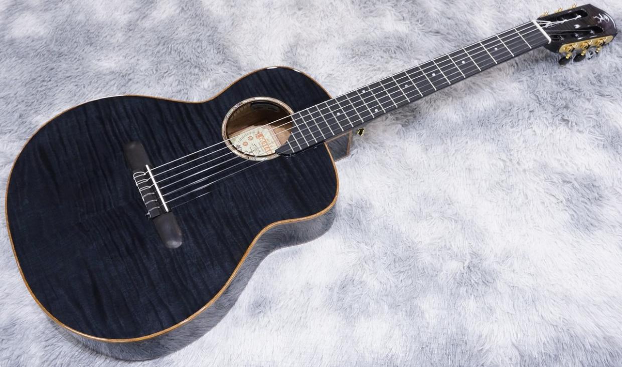 aNueNue aNN-LN77E（新品/送料無料）【楽器検索デジマート】