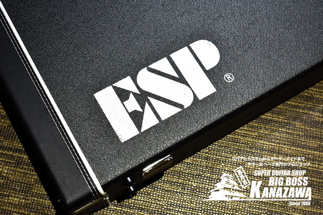 ESP Navigator ハードケース HC-250NTS - 楽器、器材