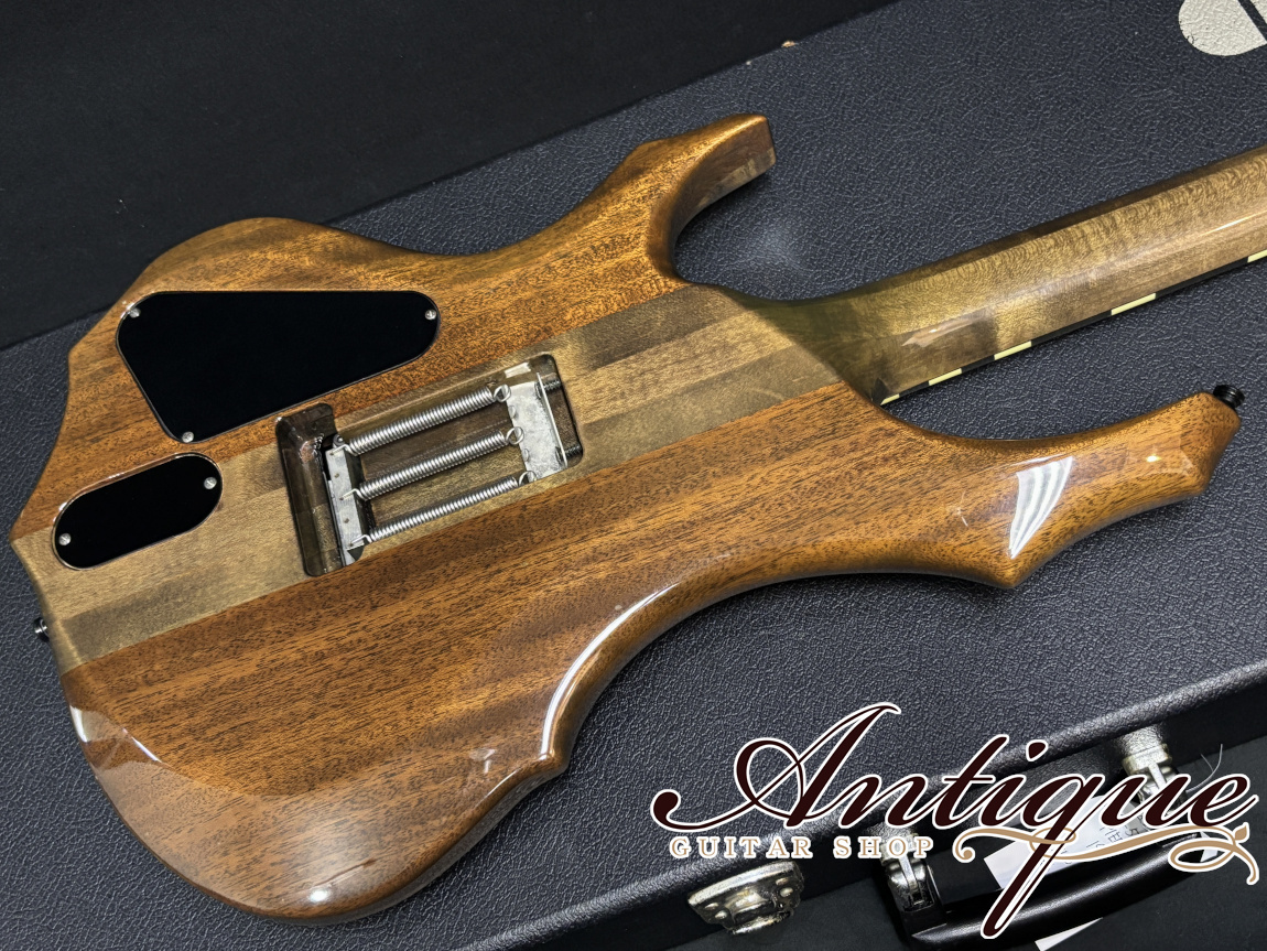 ESP [001]-560P PIERROT Aiji Model 1999 See Through Black