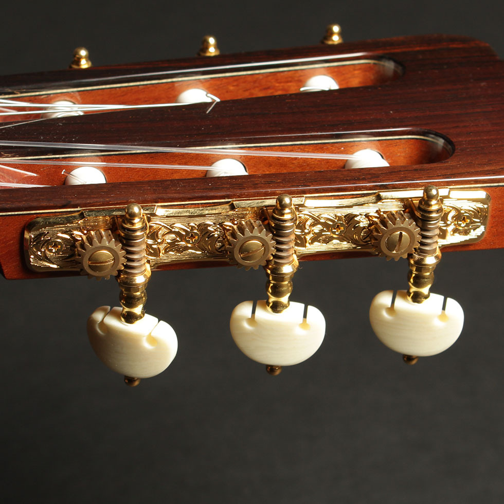 ASTURIAS Renaissance S（新品/送料無料）【楽器検索デジマート】