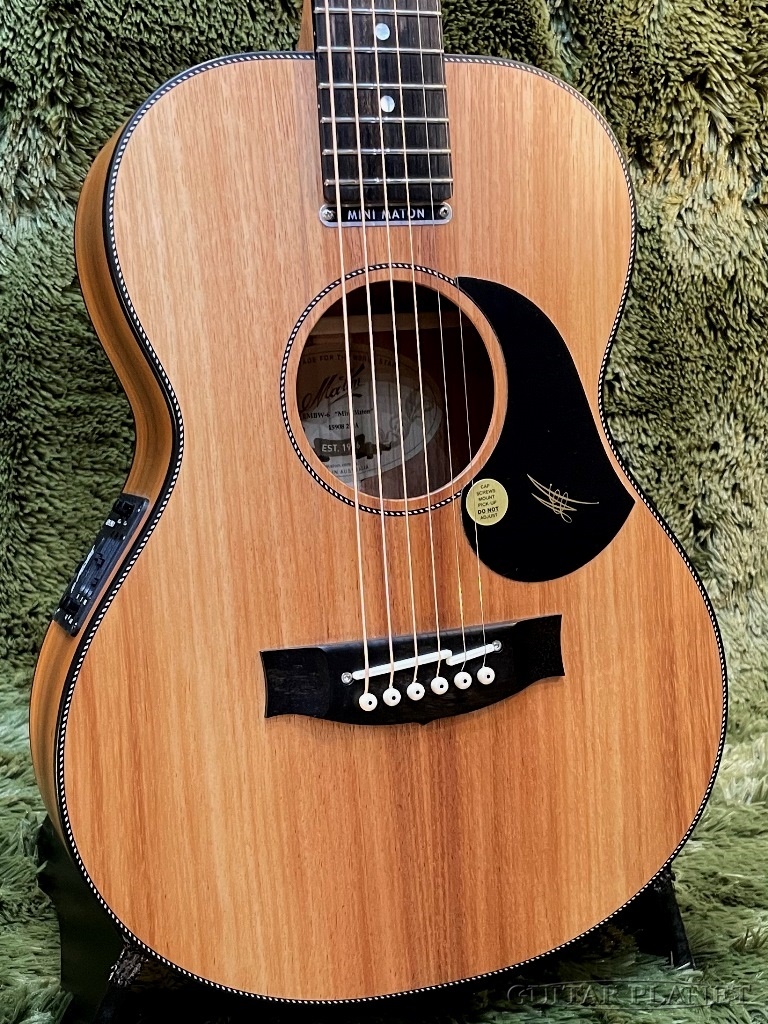 MATON メイトン EMBWー6 ミニメイトン 屋外未使用純正ハードケース 