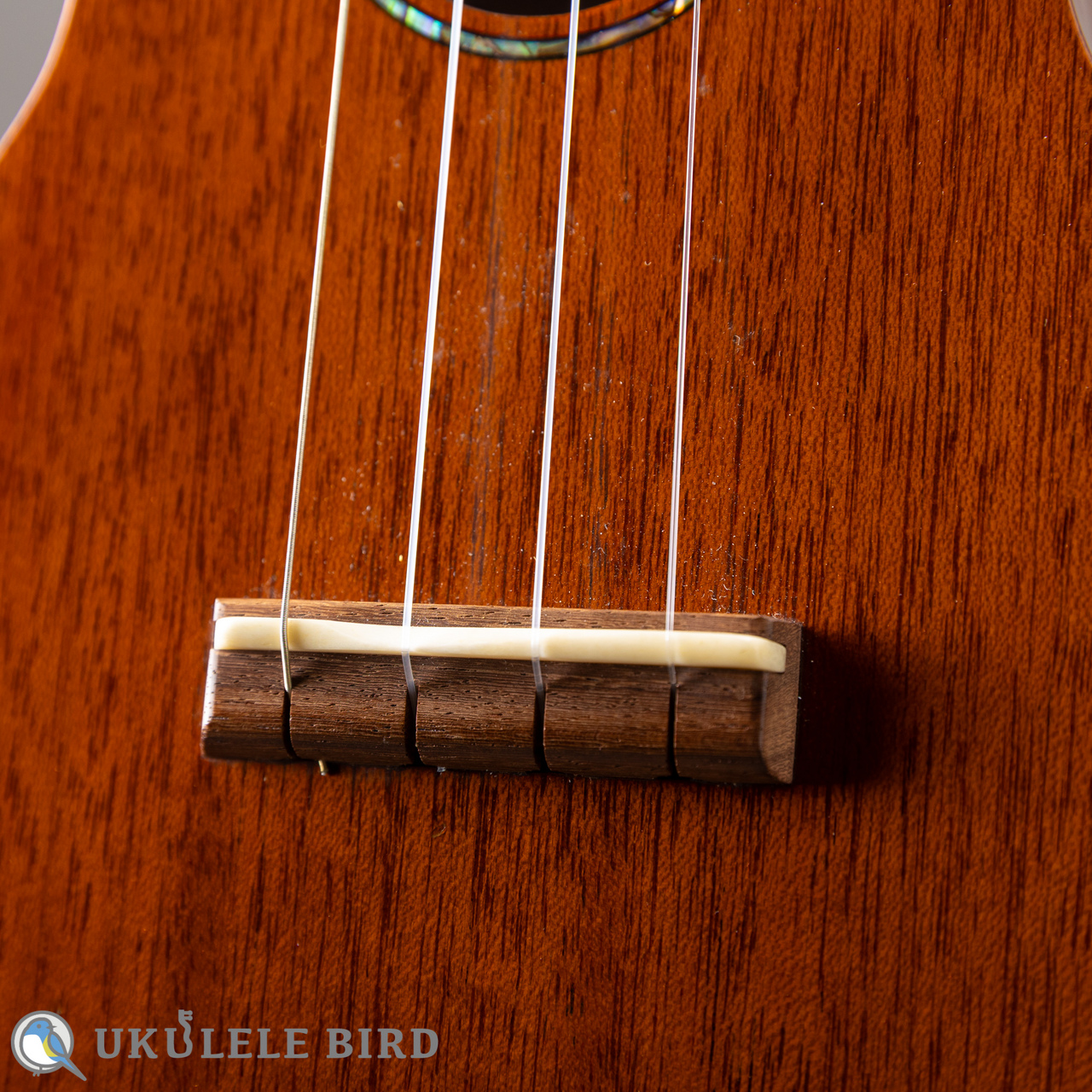 T's Ukulele SD-100（新品/送料無料）【楽器検索デジマート】