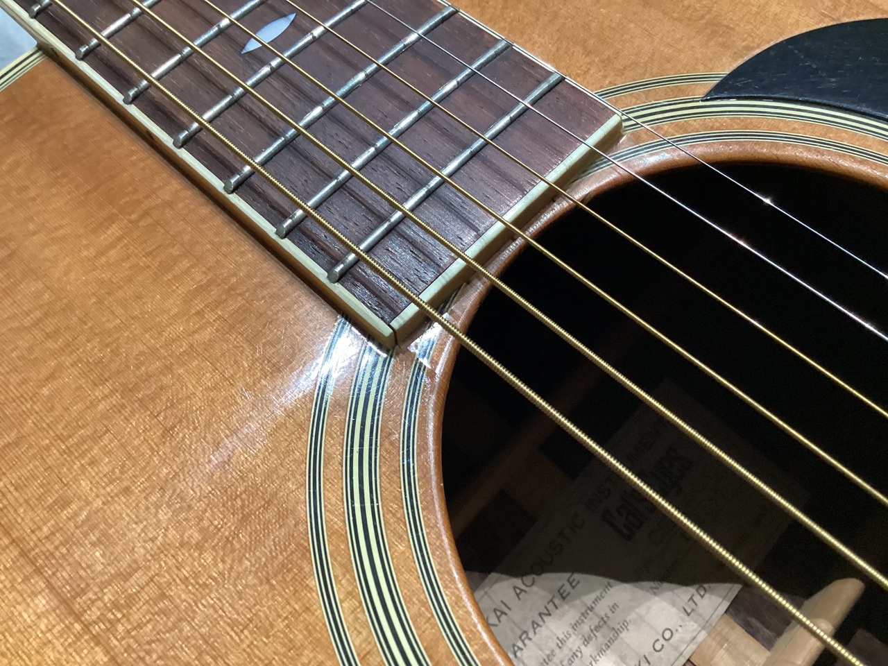 Cat's Eyes CE-400（中古）［デジマートSALE］【楽器検索デジマート】