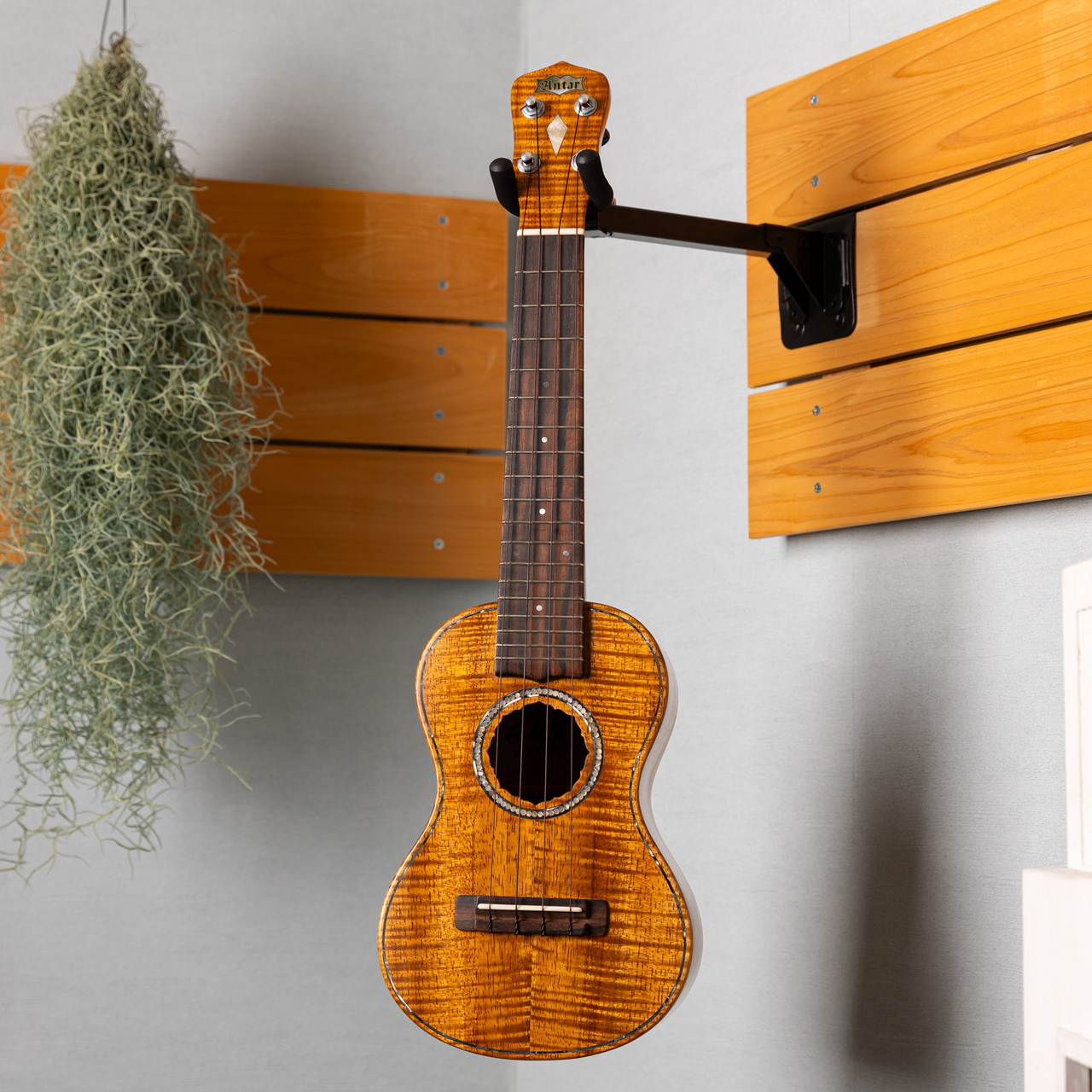 ANTAR Soprano Vintage Hawaiian Koa（新品/送料無料）【楽器検索