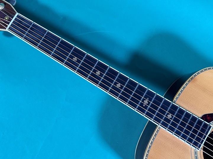 YAMAHA L-10（ビンテージ）【楽器検索デジマート】