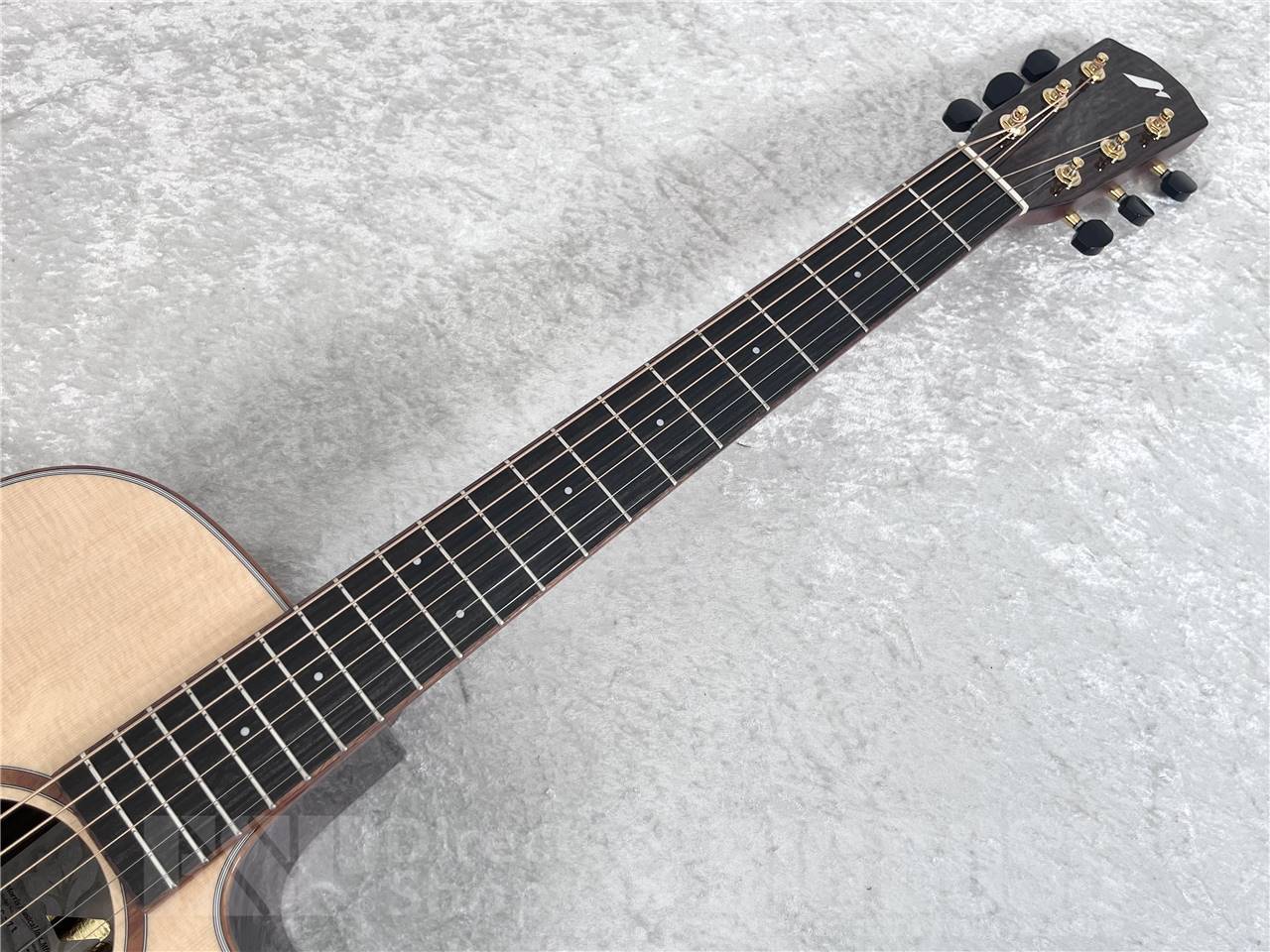 Morris SC-71（新品特価/送料無料）【楽器検索デジマート】