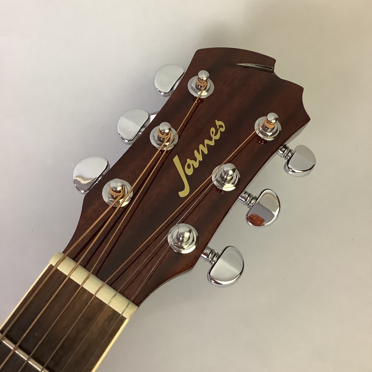 本日限定価格 james アコースティックギター JF350NA - csihealth.net