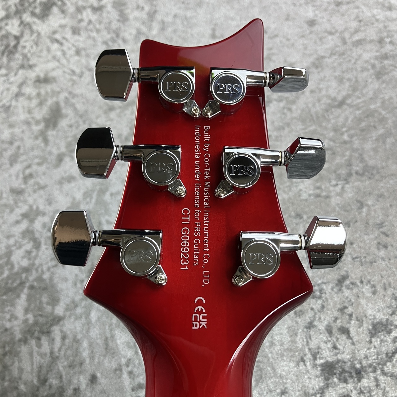 Paul Reed Smith(PRS) SE Custom 24 