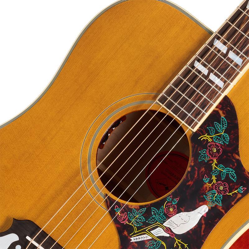 Epiphone 1963 Dove Reissue エピフォン（新品）【楽器検索デジマート】