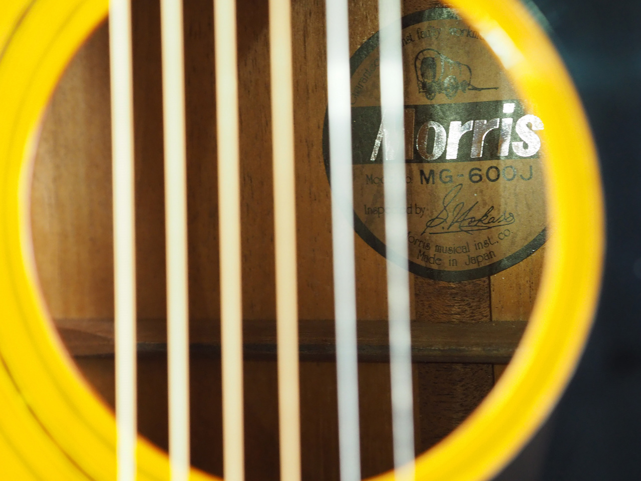 Morris MG-600J(管理番号4985)（中古）【楽器検索デジマート】