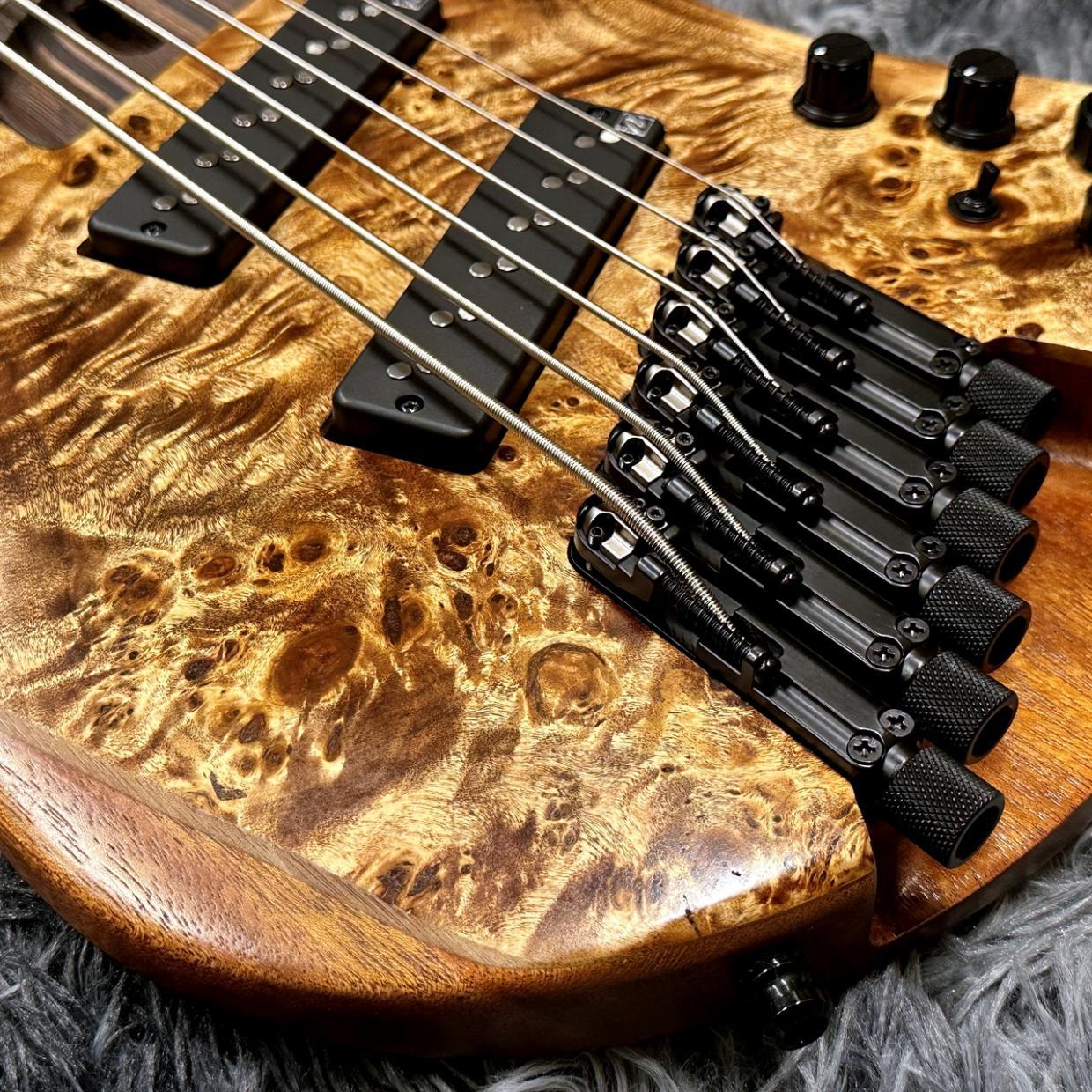 Ibanez EHB1506MS-ABL (Antique Brown Stained Low Gloss)【特価