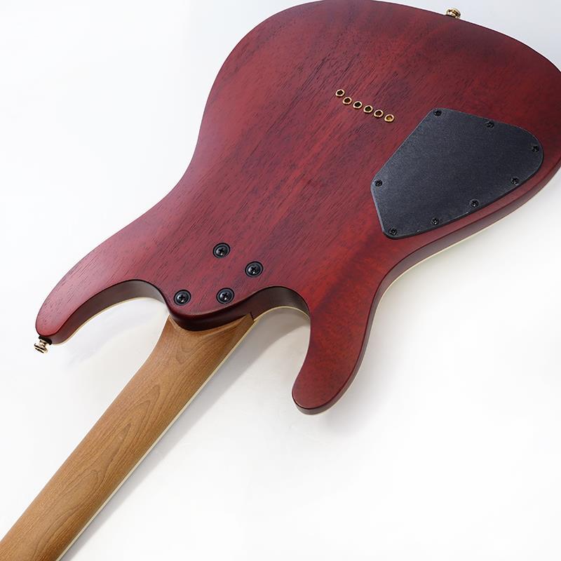Ibanez SEW761FM-NTF（新品）【楽器検索デジマート】