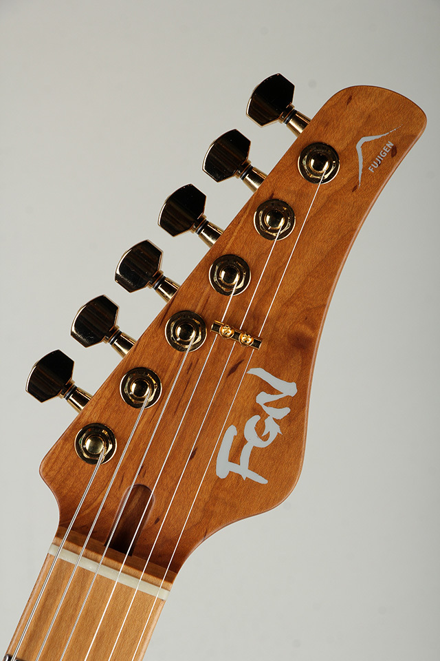 FUJIGEN(FGN) Expert ODYSSEY EOS2-EW1-HS-RM/HCB【S/N J250460