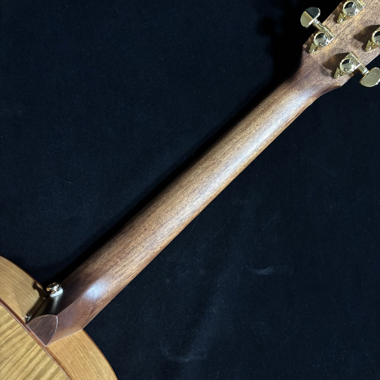Headway HF-KOBOREZAKURA（新品/送料無料）【楽器検索デジマート】