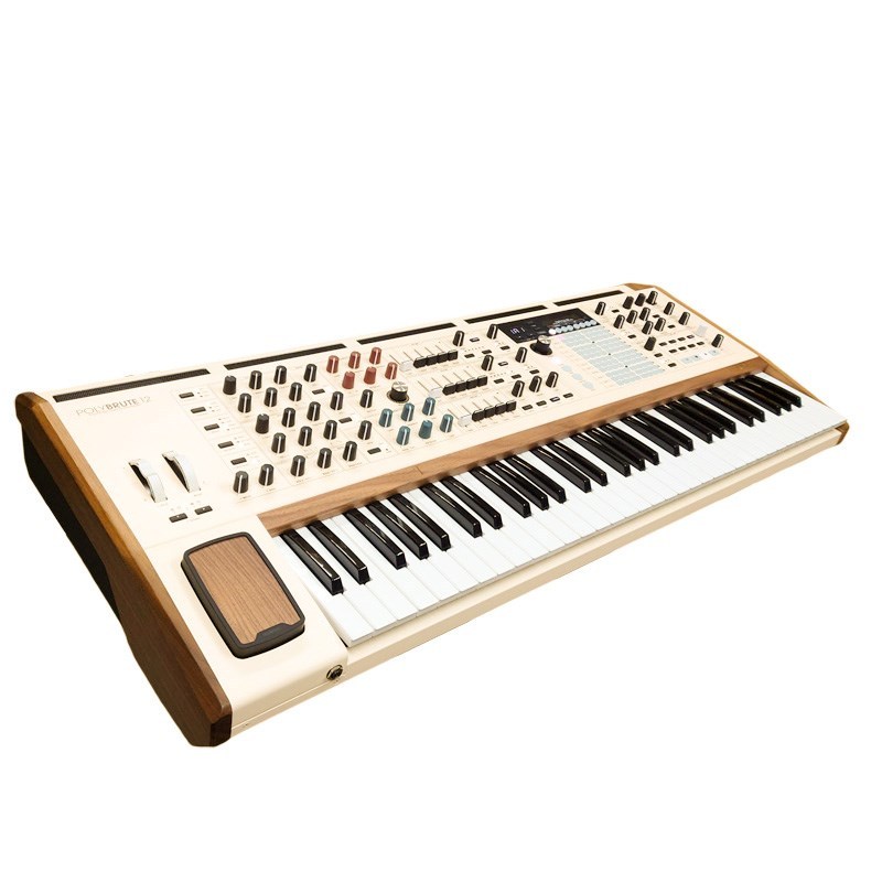 鍵盤楽器 ARTURIA POLYBRUTE 03.png
