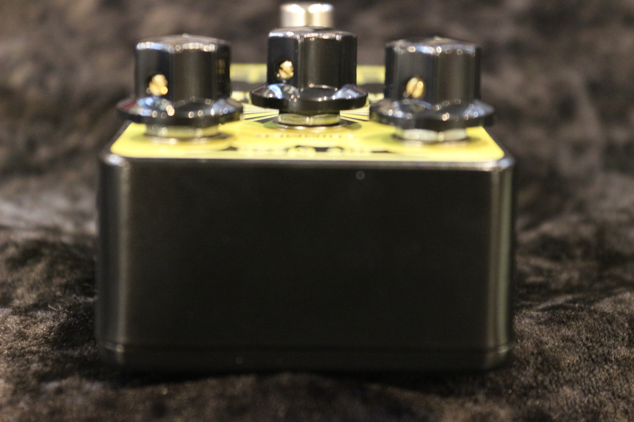 MR. BLACK Eterna Gold Modified【送料無料】【シマー・リバーブ