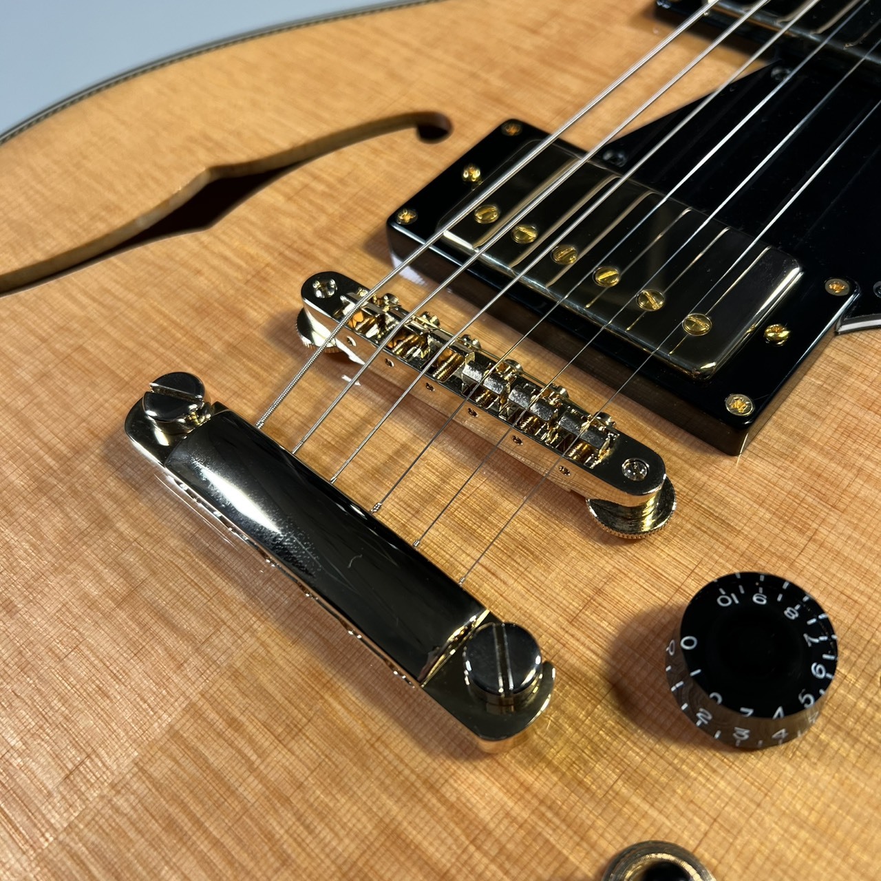 Seventy Seven ALBATROSS-JAZZ-JT【傷有特価】【重量約2.54Kg】（新品