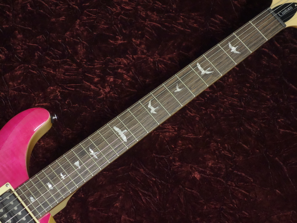 Paul Reed Smith(PRS) SE Custom24 Bonnie Pink（新品/送料無料
