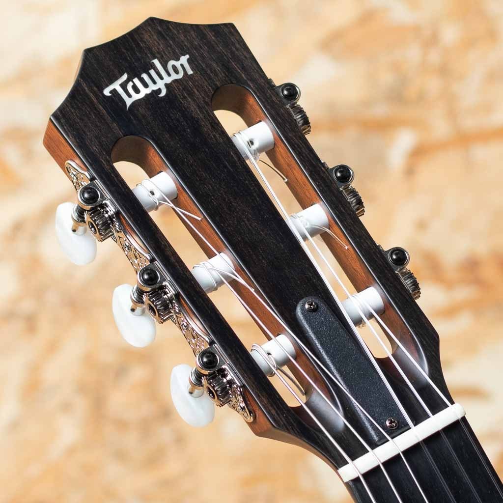 Taylor 312ce-N（新品）【楽器検索デジマート】