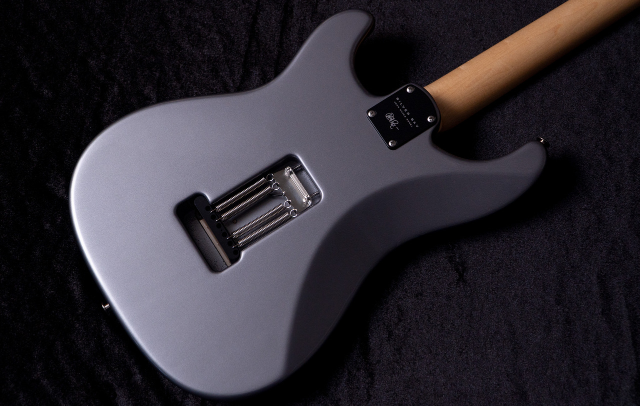 Paul Reed Smith(PRS) Silver Sky Tungsten 2024 #0389169 3.22kg 