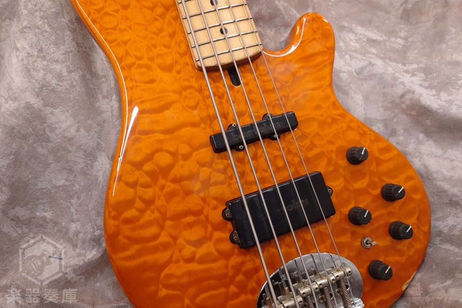 Lakland SL55-94 DELUXE（中古）【楽器検索デジマート】