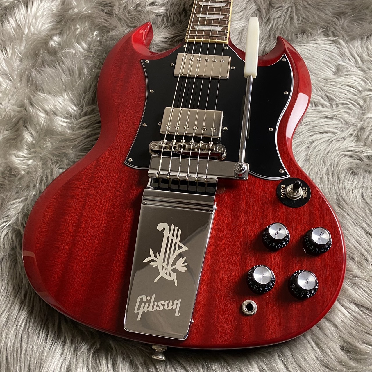 Epiphone SG Standard(modify) 【現物画像】