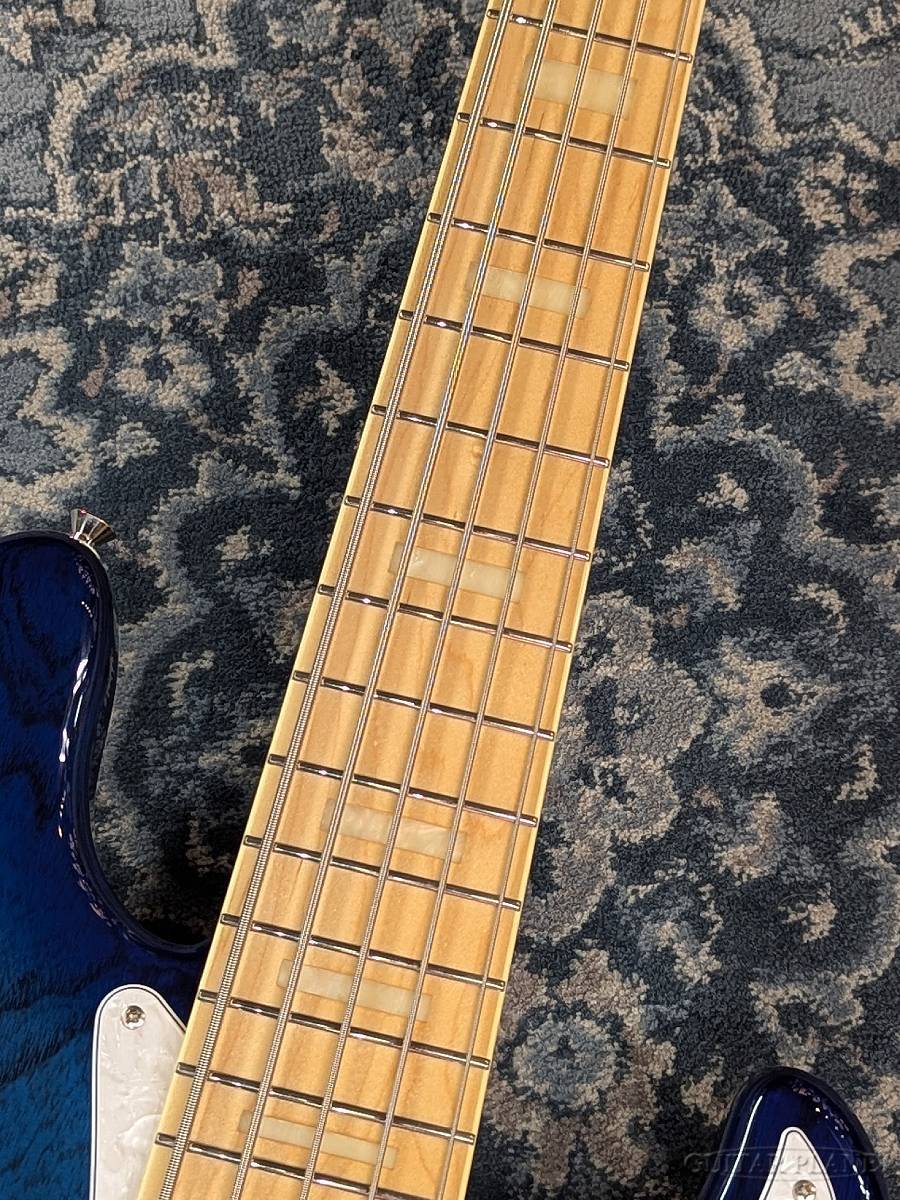 FUJIGEN(FGN) 【ギタプラ新春セール2026】NJB100MBAHV -See Thru Blue