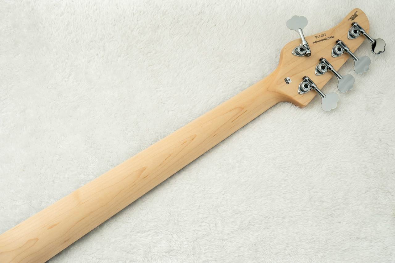 SCHECTER AC-EXB-5-AveMujica/Timoris/SIG #260718 【Ave Mujica