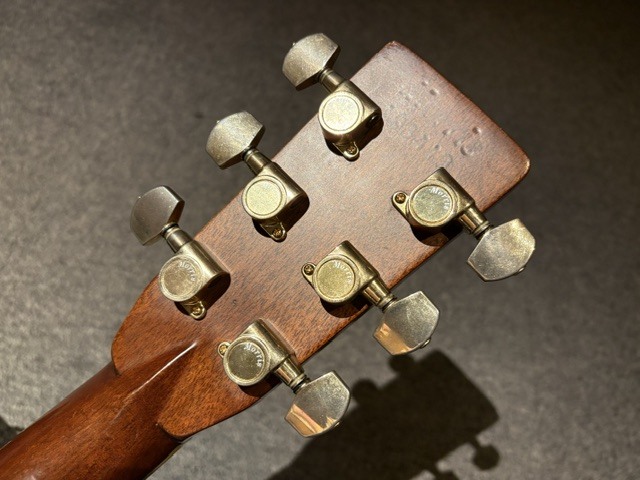 Morris TF-801（ビンテージ）【楽器検索デジマート】