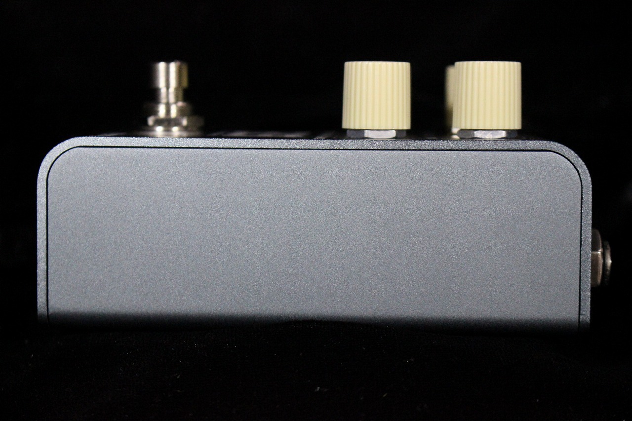 strymon EC-1 single head dTape echo【エコー/ディレイ】【送料無料
