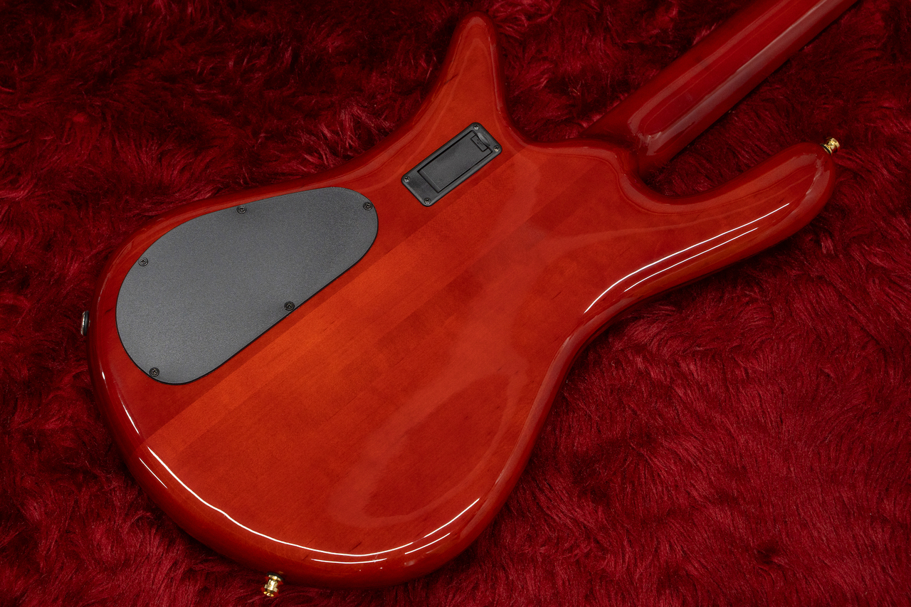 Spector EURO4LX/RAS LAYER/T.Amber 3.935kg #NB16286 【GIB横浜